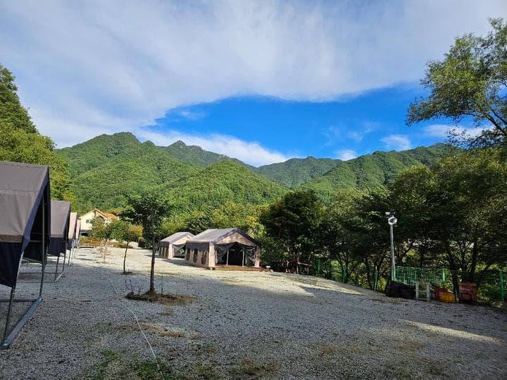 월성자연캠핑야영장