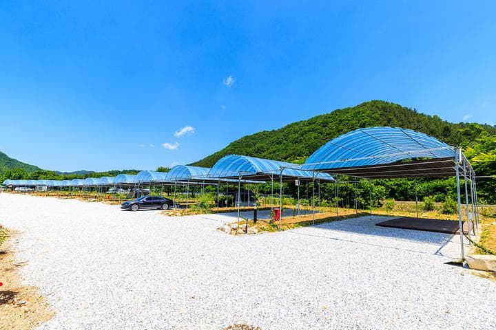 진악산오토캠핑장