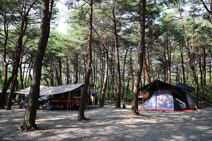 양양 솔바다 캠핑장