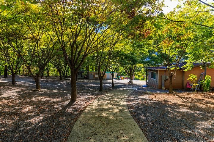 약초농원 캠핑장