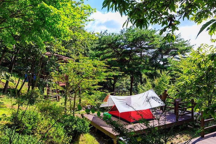 팔공산국립공원 갓바위야영장