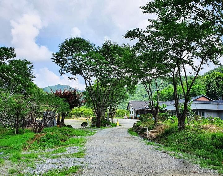 강원 홍천 알프스밸리 캠핑나라 글램독