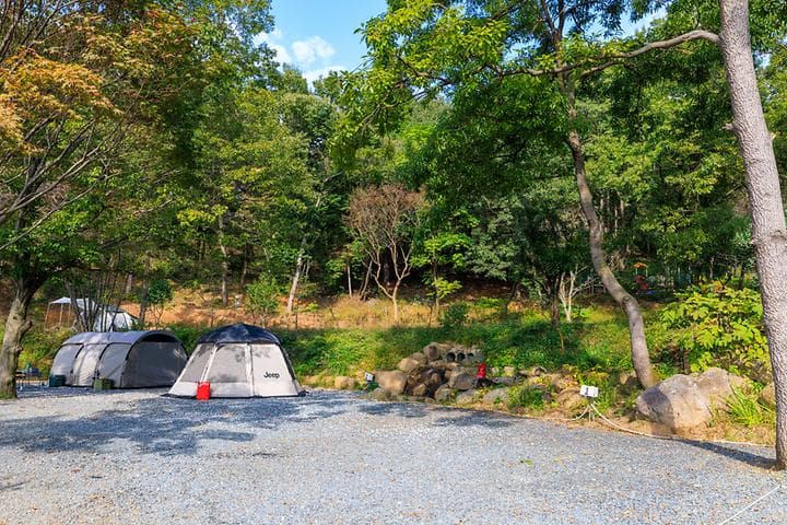 상사호 오토 캠핑장