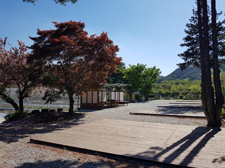 양지마을야영장