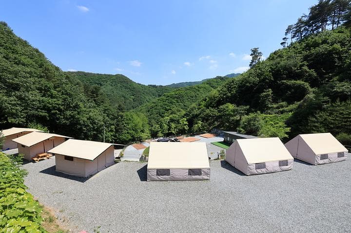 비발디캠핑파크 미루나무점