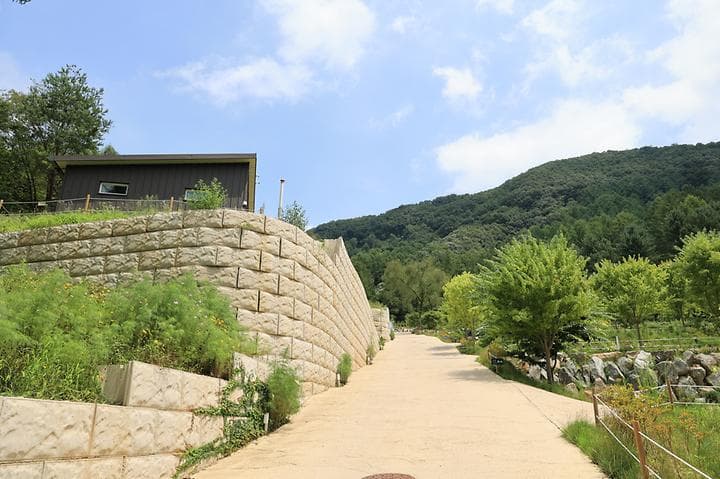 집 밖으로