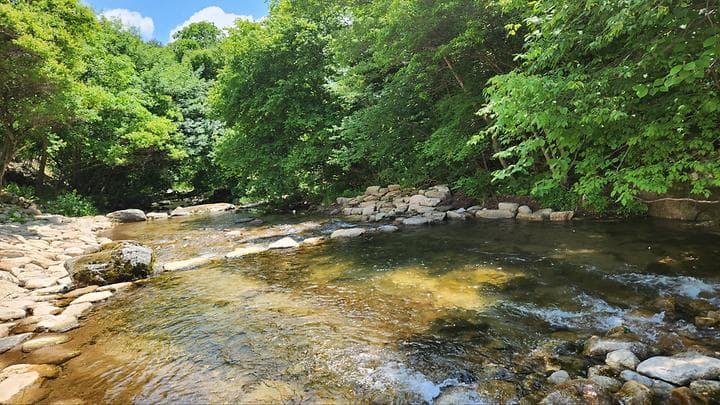 평창 별내림계곡캠핑장
