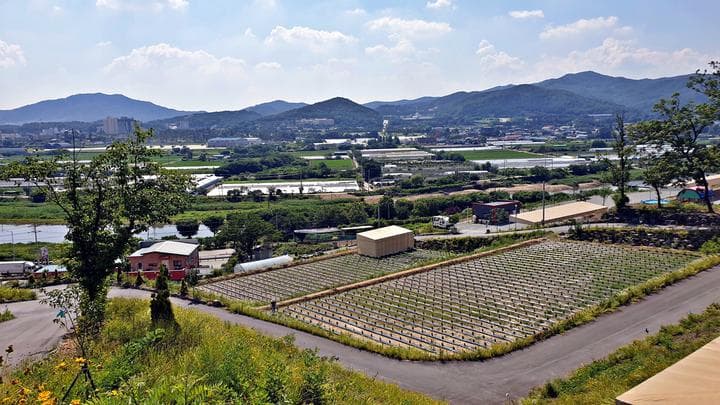 에버오토캠핑장