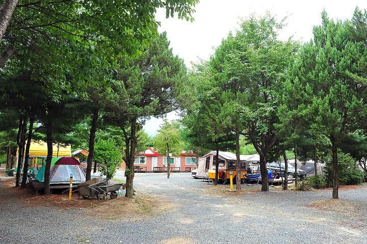 핫도그342애견글램핑카라반 주식회사