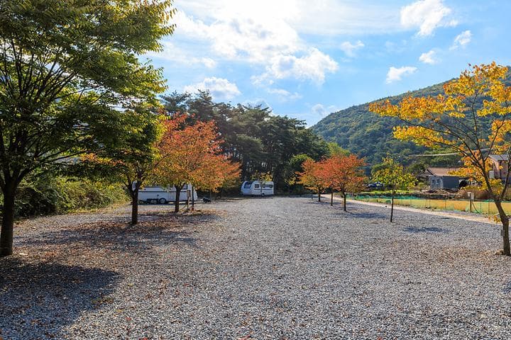 월악산억수솔밭캠핑장