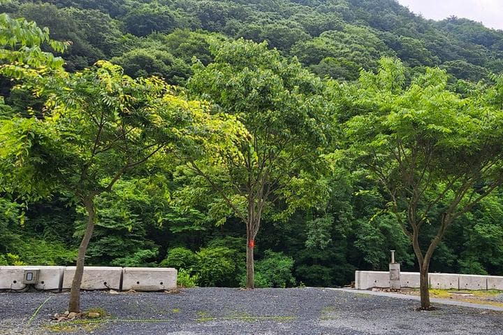 하옥 가람캠핑장