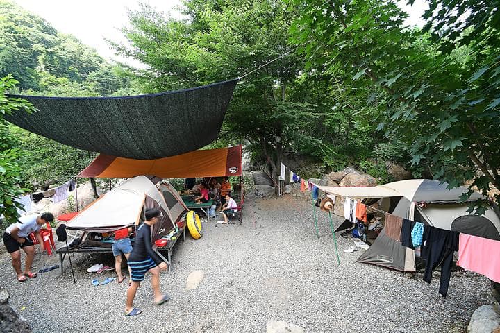 느티나무야영장