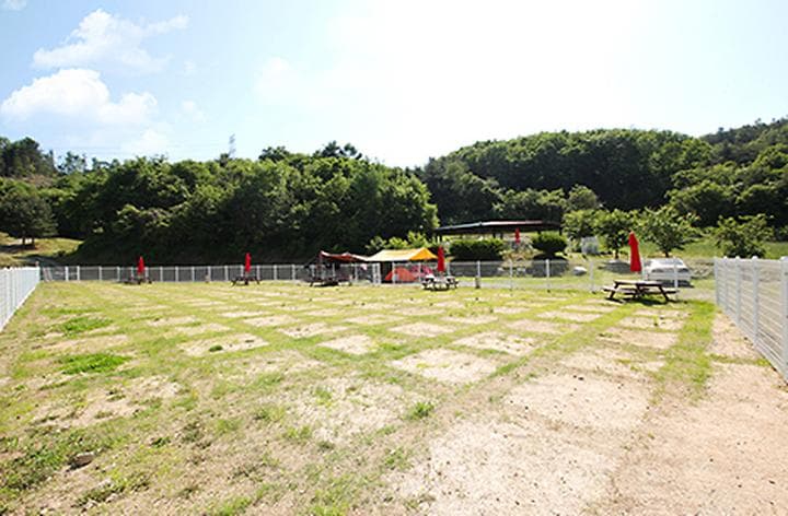 링크독애견파크 글램핑&오토캠핑장