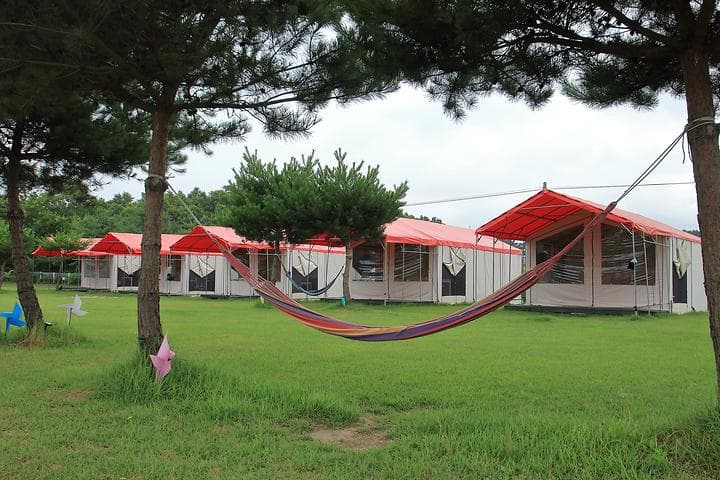 파라독스 애견펜션 / 돔글램핑&오토캠핑장