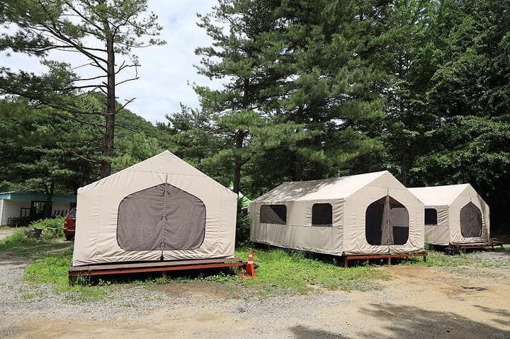 호랑이 캠핑(가평점)