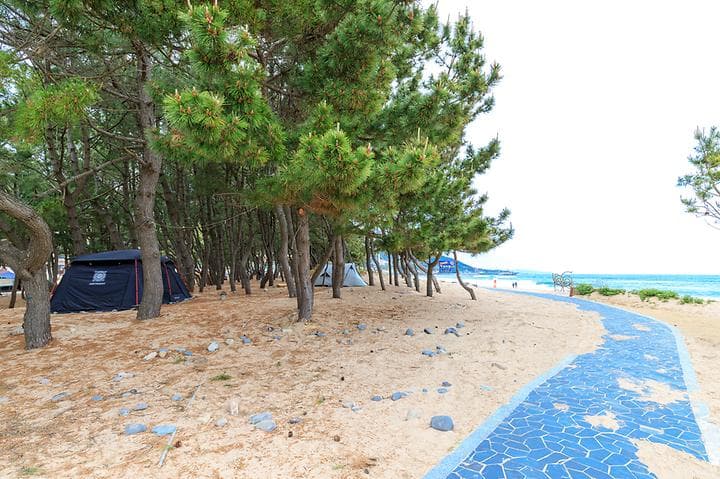 화진해수욕장 마을번영회 야영장