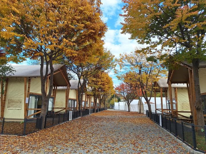 하이몽글램핑&캠핑장