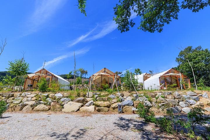 네이스트 프라이빗 음성