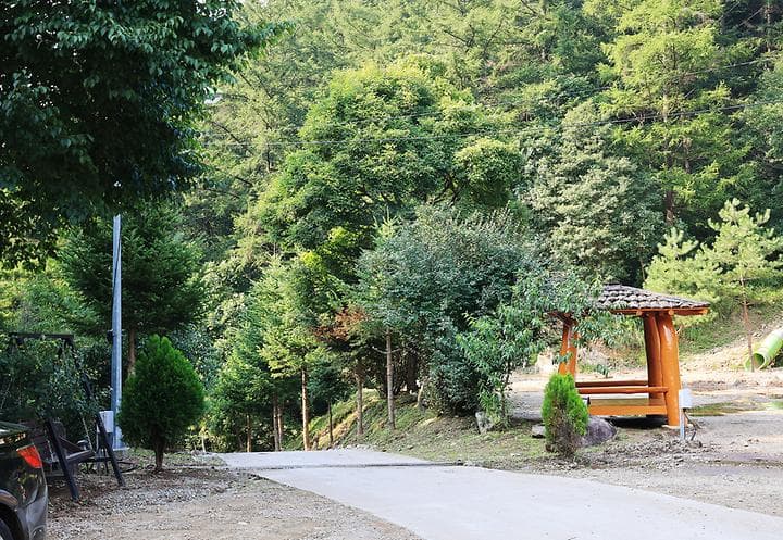 양평숲 비룡캠핑장